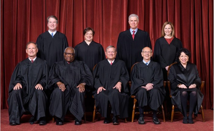 The Washington Walrus’ Guide To The Supreme Court